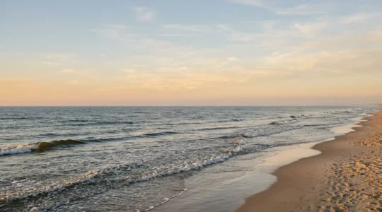 Friedlicher Ostseestrand bei goldenem Licht mit sanften Wellen und weitem Horizont
